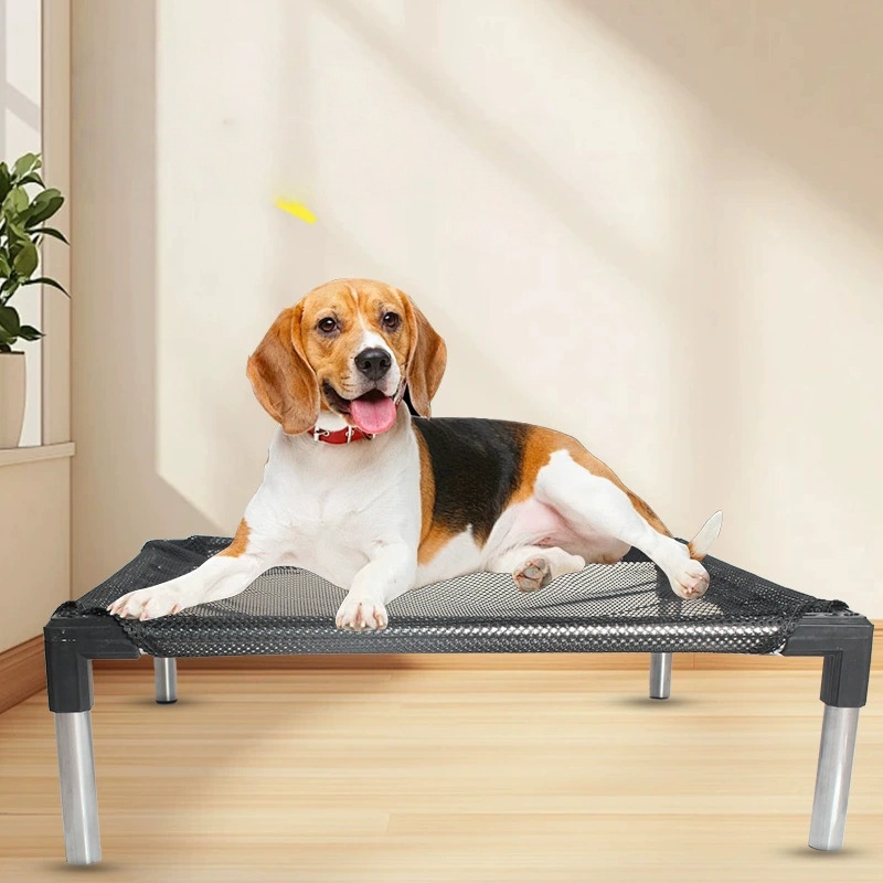 冷却高架犬用ベッド - 犬、猫、屋外用に高架、ガードレール付 - Outdoor Daybed Sofa のレビューと価格