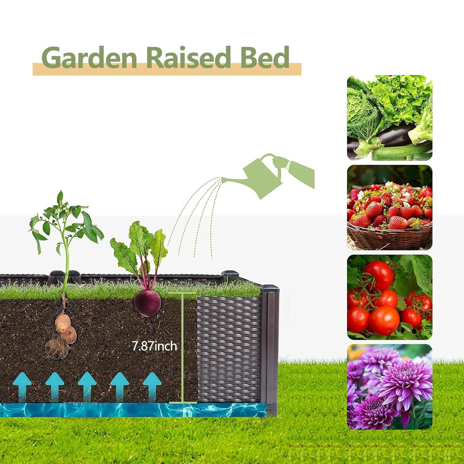 自動給水式の高床式菜園 – 長さ160cmの大型プラスチック - Outdoor Daybed Furniture のレビューと価格